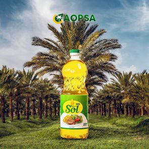 480210827 480674451777838 5236277609645096105 n