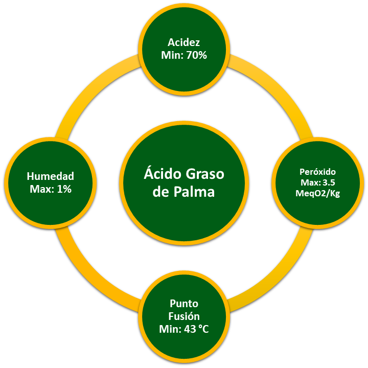 acido graso